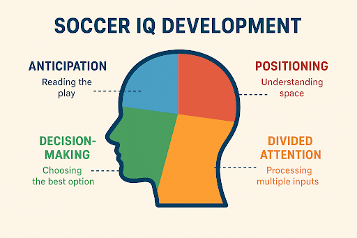 Soccer IQ Development